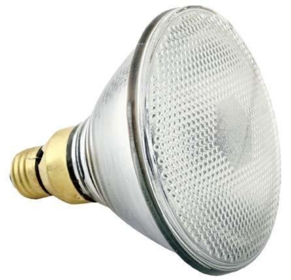 Picture of Philips® Dimpled Glass Heat Bulb (175 Watt)