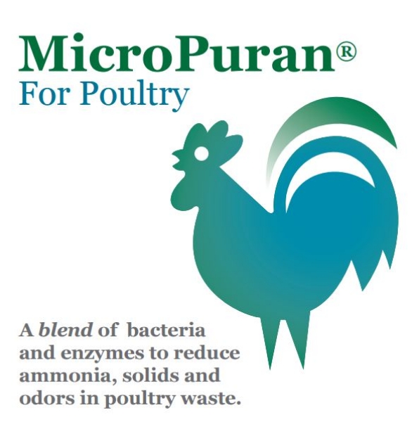 Picture of MicroPuran® For Poultry