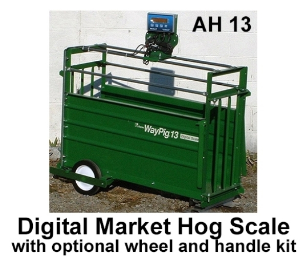 WayPig® 13 Market Hog Digital Scale