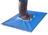Picture of Blue Disinfectant Mat (34" x 24" x 1")