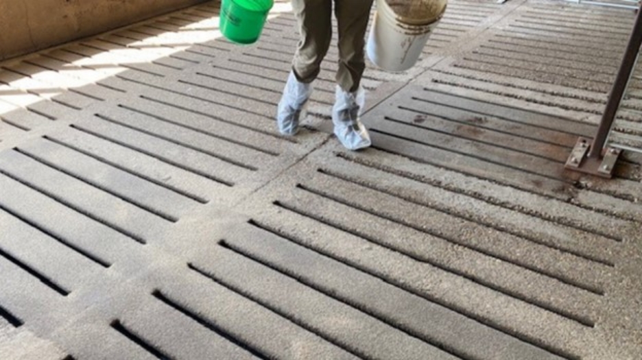 Protecting Barn Floors & Concrete: Faster Cleanouts, Better Biosecurity