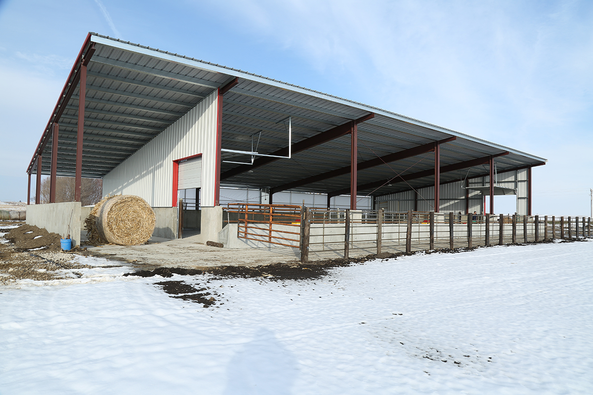 Cow/Calf Monoslope Barn – Coon Rapids, IA