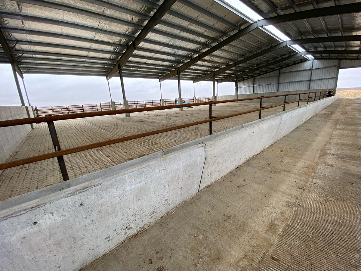  bed-pack-pen-feed-bunks-alley-front-view.jpg 