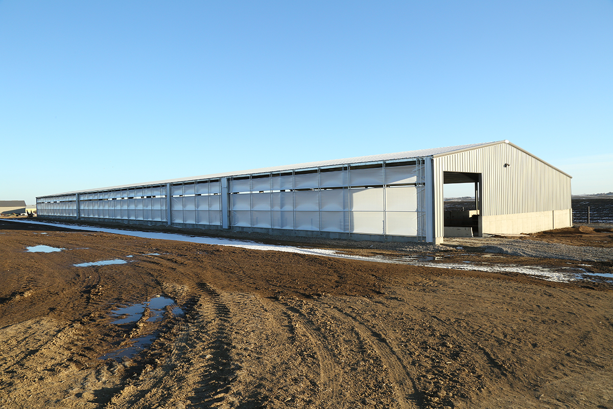 cattle-finishing-barn-front-angle-view.jpg