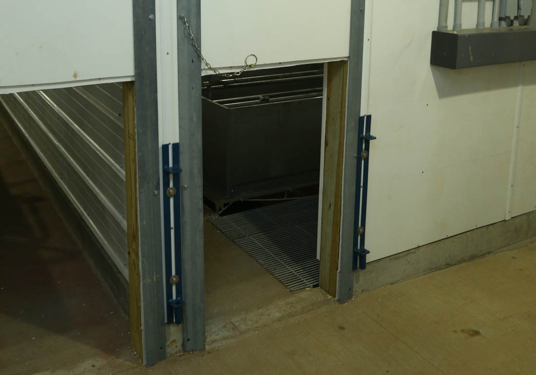 Vertical farrowing room doors for pigs