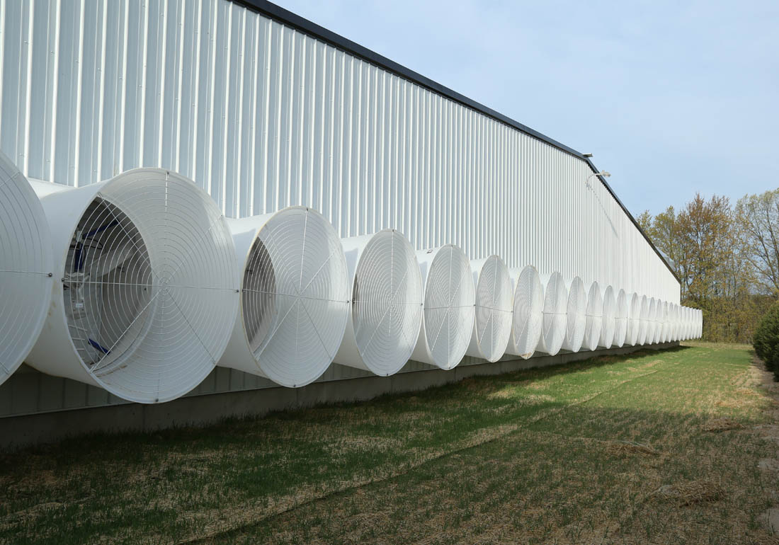 54” AirStorm fiberglass fans on a gestation barn
