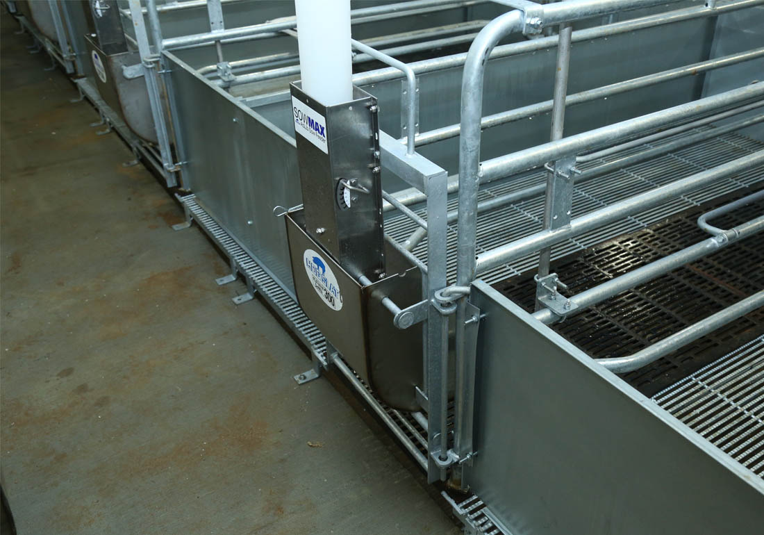 SowMAX feeder installed on stainless steel sow bowl