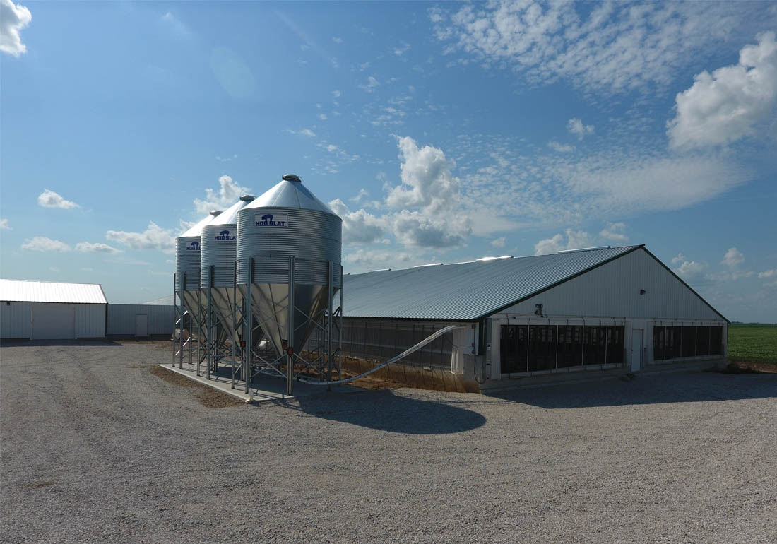  Three Hog Slat bulk feed bins supply each barn’s feeding system.