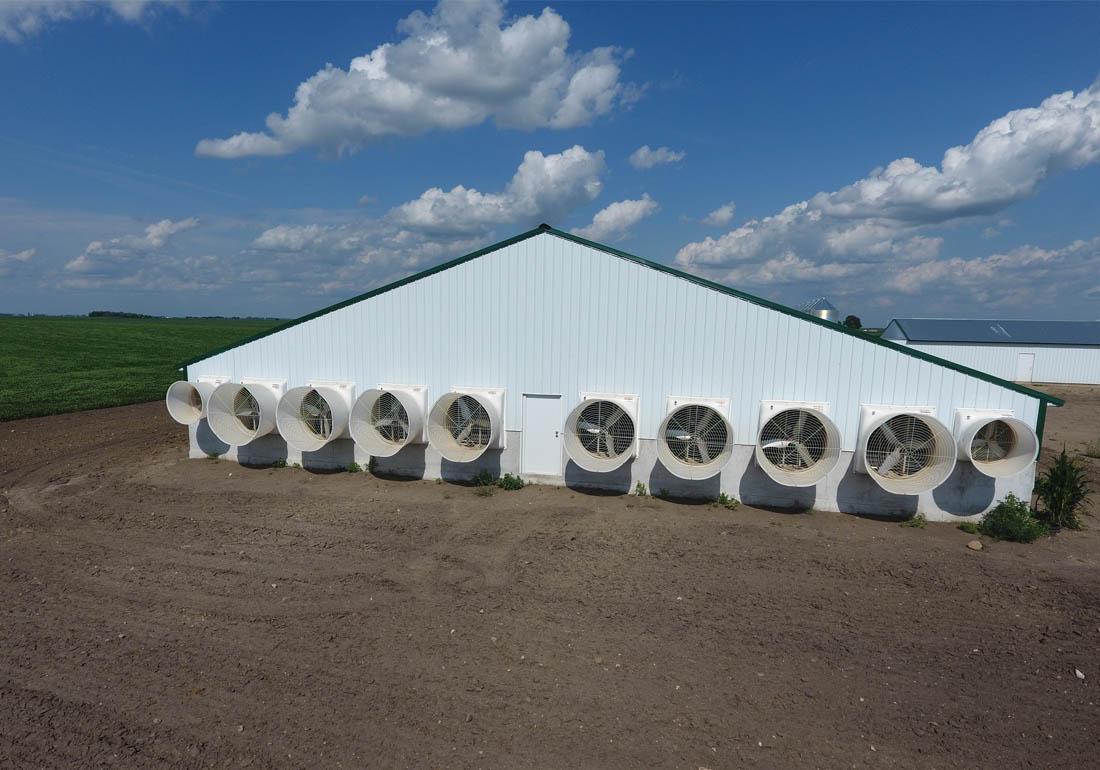 GrowerSELECT AirStorm fiberglass exhaust fans ventilate the barns.