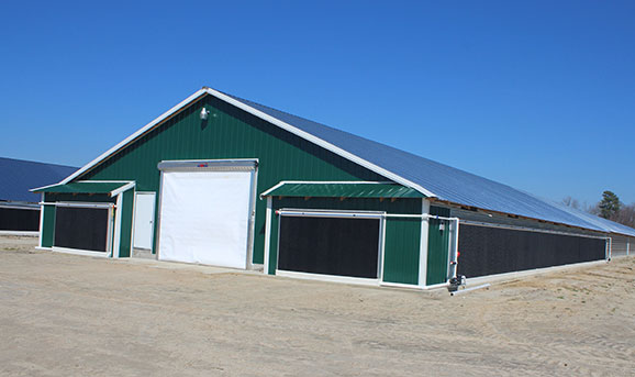 Hog Slat EVAP cool cell systems are adaptable to meet the cooling needs of today’s large poultry and swine production barns.