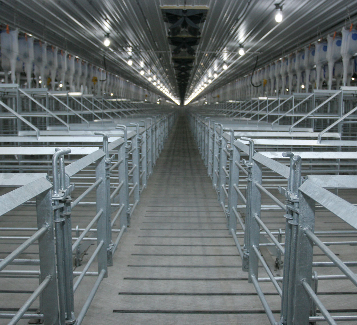 Hog Slat’s “No-Weld” bolt-together installation design allows our gestation stalls to be assembled in the barn quicker than competitive models. Our pre-punched top bars and floor spacers ensure proper alignment and spacing every time.