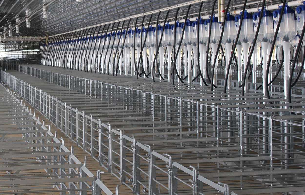 Hog Slat gestation stalls feature a “No-Weld” installation design that ensures proper alignment, quicker assembly and less lifetime maintenance compared to competitive brands of gestation equipment that require on-site welding during installation.