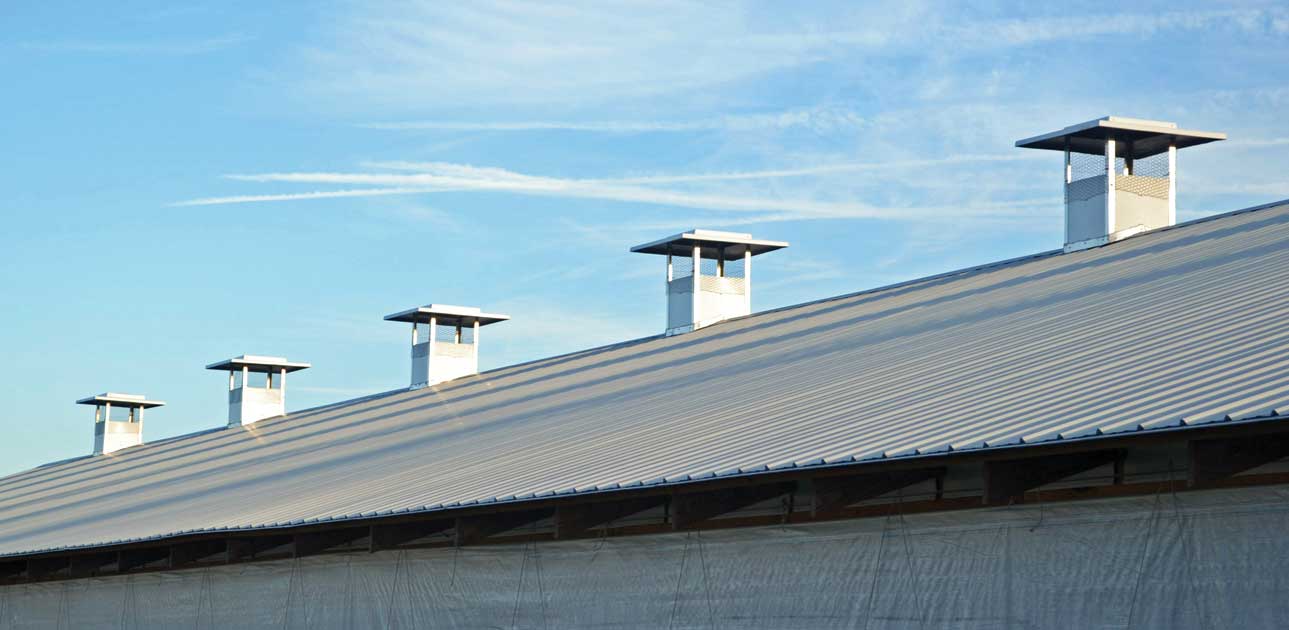 Hog Slat natural ventilation barn chimneys installed on a hog finishing building.