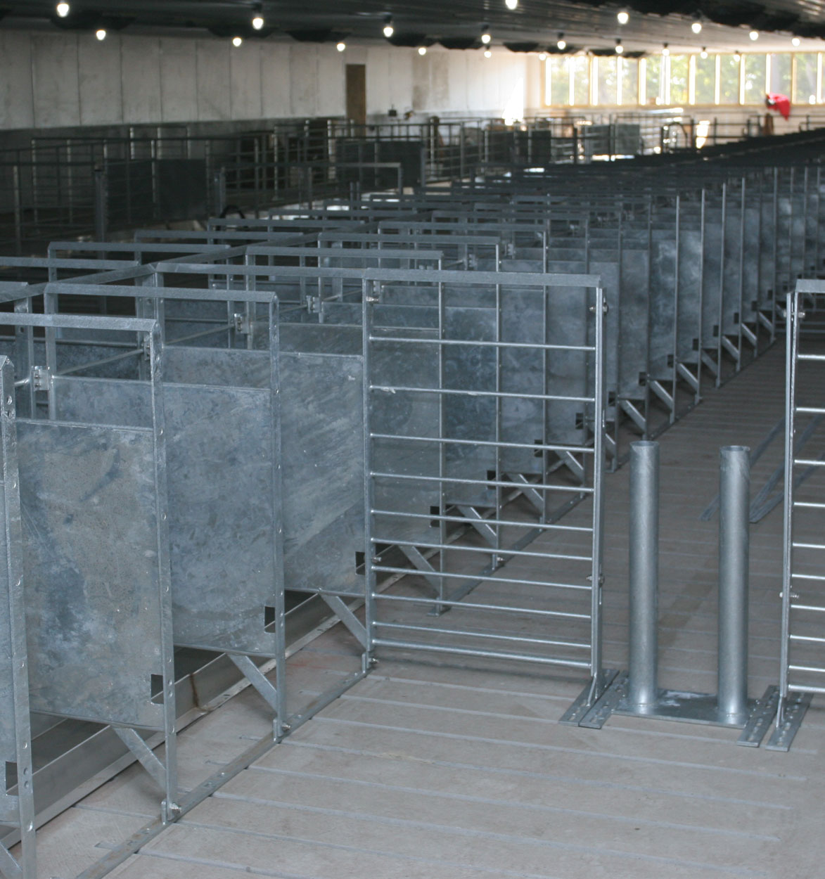 Hog Slat stanchions for sow group housing can be manufactured with several different divider options. (Shown: Galvanized solid metal divider panels with stainless steel sow feeding trough and walk-through post.)