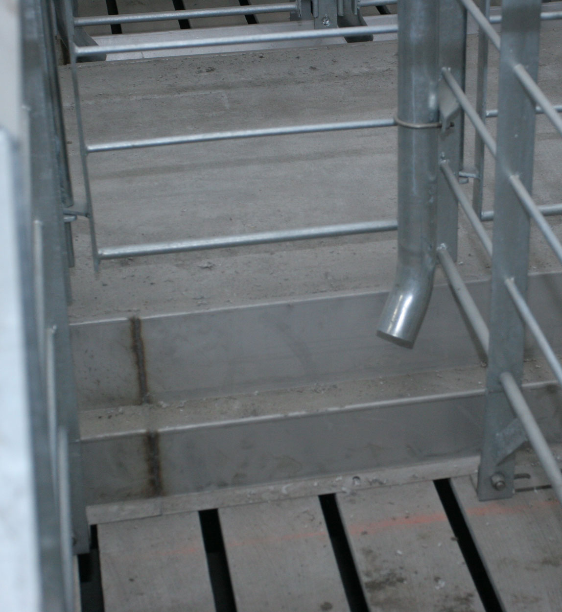 Stainless steel sow feeding trough can be integrated with stanchion installations to provide an easy to clean surface that helps reduce feed waste and allows feeding on total slat barns. Trough sections are field-welded together during installation on the farm and are available in several different designs to meet the needs of all stanchion system layouts.