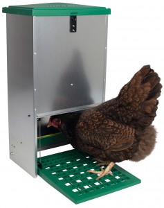 Feed-O-Matic with hen