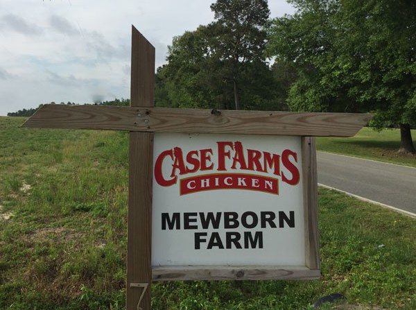 Mewborn farm entrance sign