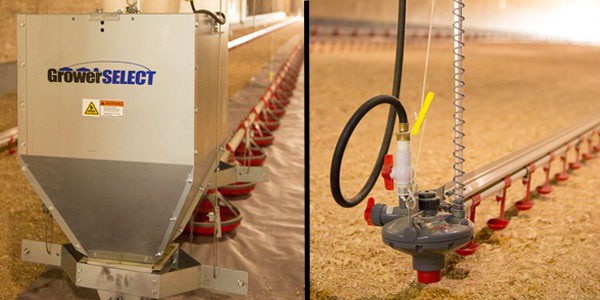 GrowerSELECT feed line and Plasson ON-DEMAND drinker lines.