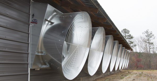 Windstorm 54" fans 